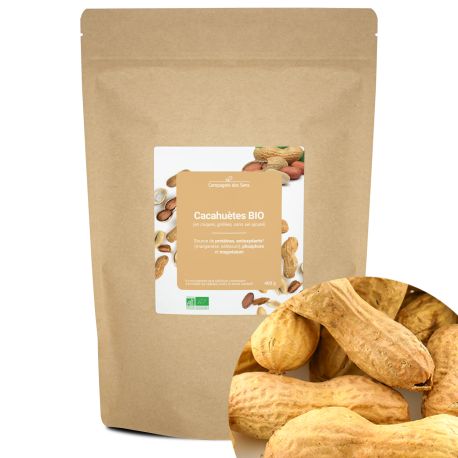 Cacahuètes BIO (en coques, grillées, sans sel ajouté) - source de protéines