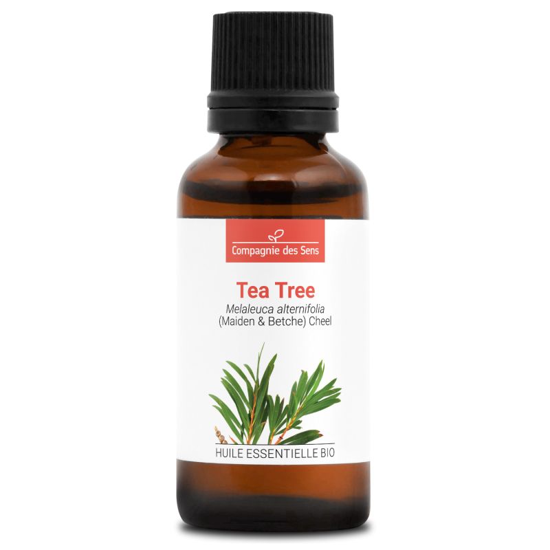 Huile essentielle de Tea Tree ou arbre a the en flacon de 10 ou 30 ml