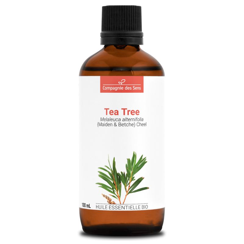 TEA TREE (Arbre à thé) • Huile Essentielle Bio 30 ml • Huile Essentielle  chémotypée HEBBD Bio 100% Pure et Naturelle
