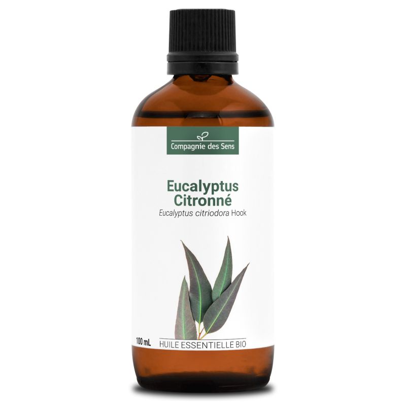 Huile essentielle d'eucalyptus citronné 100% pure en vente directe