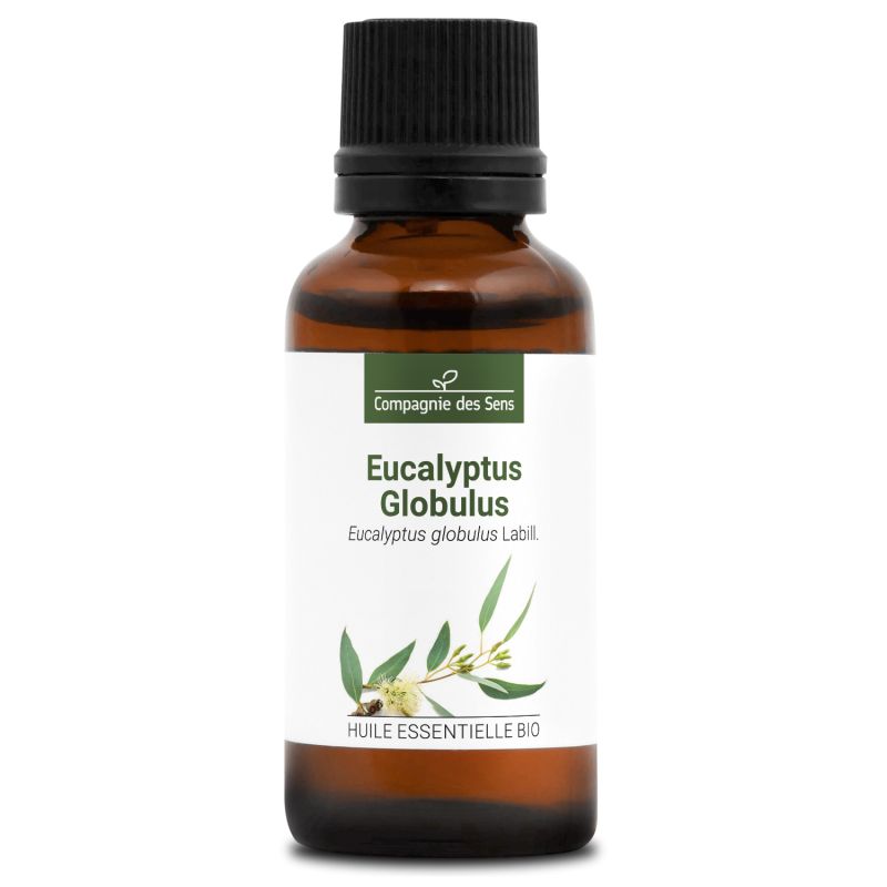 Huile Essentielle Eucalyptus Globulus Bio* 100% Pure & Naturelle