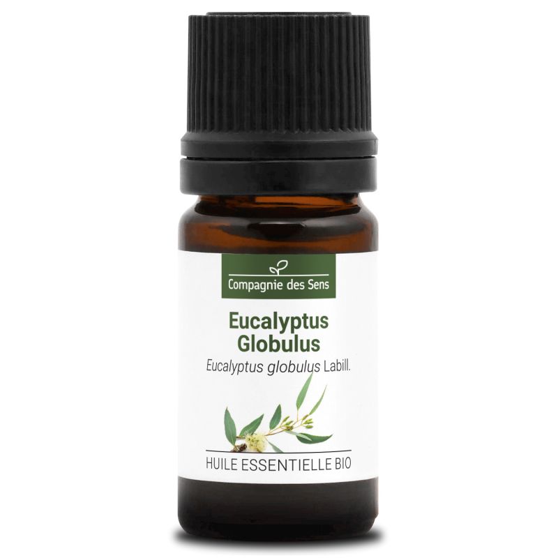 Huile essentielle d'eucalyptus globulus - Vente en ligne aromathérapie