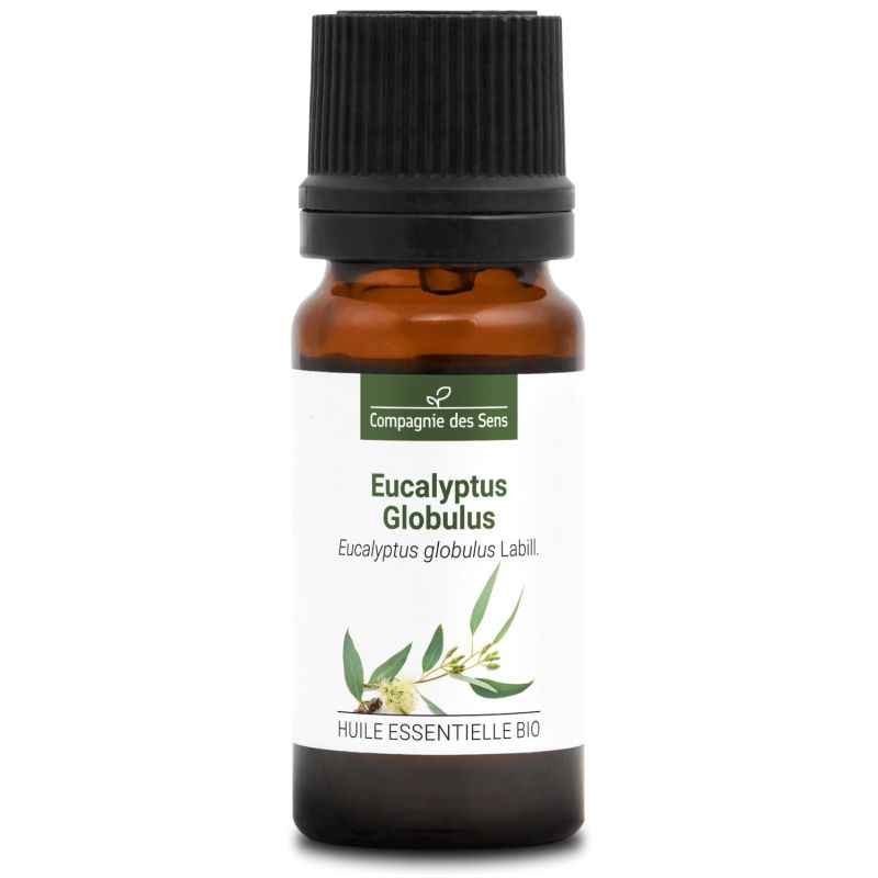 Acheter huile essentielle Eucalyptus Globulus Bio (Eucalyptus