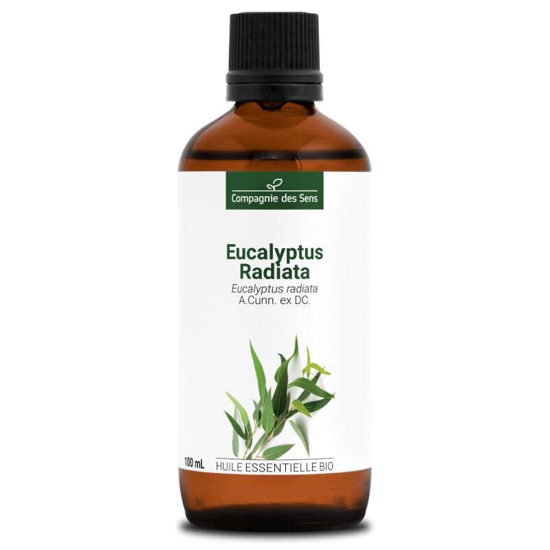 Huiles essentielles 100% BIO Eucalyptus radiata (10 ml) - Docteur