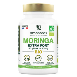 Moringa bio haute concentration 