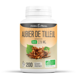 Tilleul bio (aubier) 