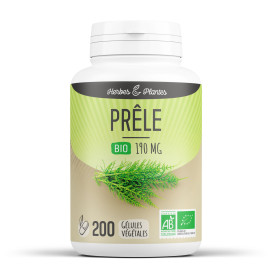 Prêle bio 