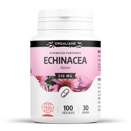 Echinacea BIO - Gélules