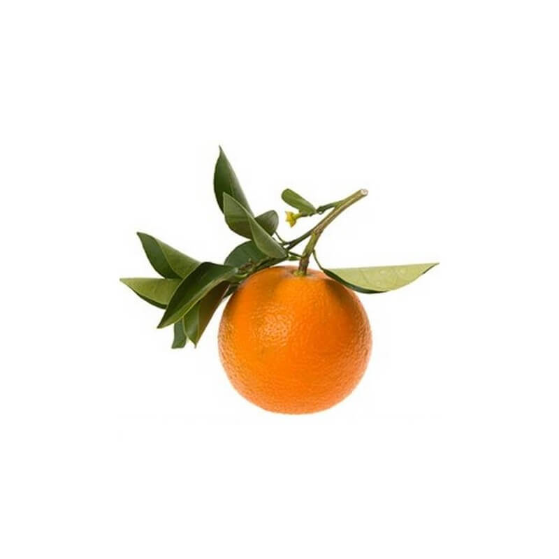 Petit grain bigarade (Orange amère) - Huile essentielle bio – Ladrôme  Laboratoire